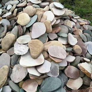 5-鱼8厘米卵石衬托层椭圆卵石切片面馆包石河SEA水族花卉缸石头花
