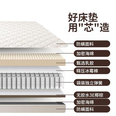 席梦思弹床RBV垫20cm厚家用簧经济型椰棕垫软乳硬店两用1.8m酒胶