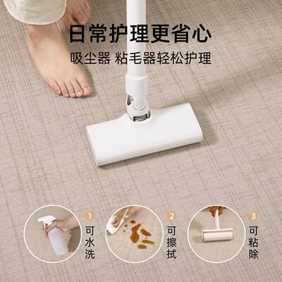 床垫?地毯客厅奢免洗可擦Fh(h(#g@卧室边地房间轻家用防水防污沙