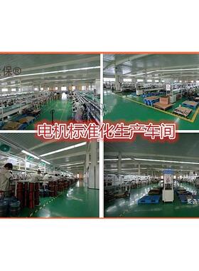 电动三轮车差速电机500W800W1齿00w麦电0机无刷电机有电10002358