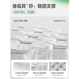 麻大师豆黄护脊腰双人硬麻垫乳胶弹簧记梦AKA忆棉席思厚床芽垫子