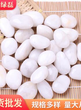 白色石抛光鹅卵盆栽鱼缸亮光雨花石园CTZ园艺铺地装饰林景观石头