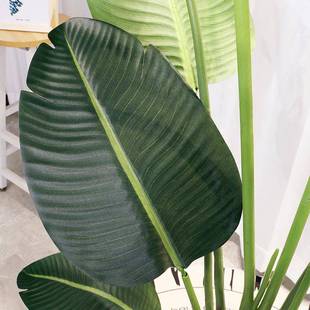 植仿真绿地大型旅蕉人盆栽落装饰植物客厅摆YH-23-01件工程设计造