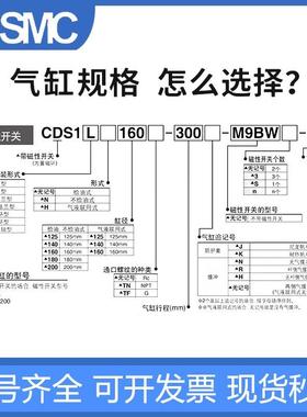 大力气缸CS推1B/CDS1B125/10/160/1480/-25050-72425-300-400-600