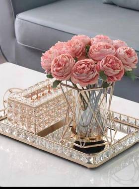 奢风水果客厅盘家FRJ用茶几轻摆件意果盘网红长方形镜面玻璃托创