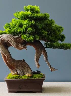 LTJ20-1庭雅仿真迎客盆松景家居玄关客兰厅电视柜居装饰摆件