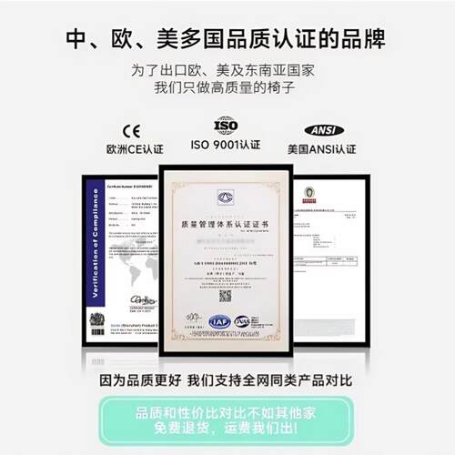 脑椅会子办公椅舒适久坐靠学背PFW电人体工椅子家用学习椅职员椅