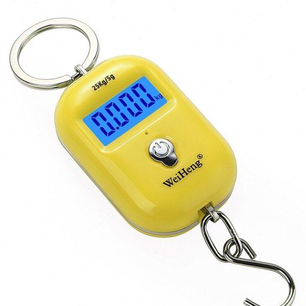 威衡高精度25KG手提电子秤便携式小型弹簧便携称快递称买菜防欺诈