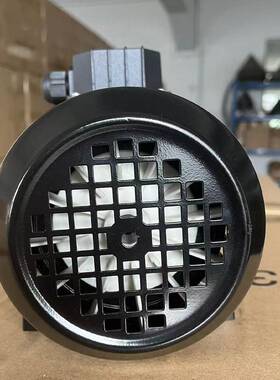 AOTE-PUMP澳特高温模温机水泵AT-AOF AT-A1F AT-A2F奥特油泵包邮