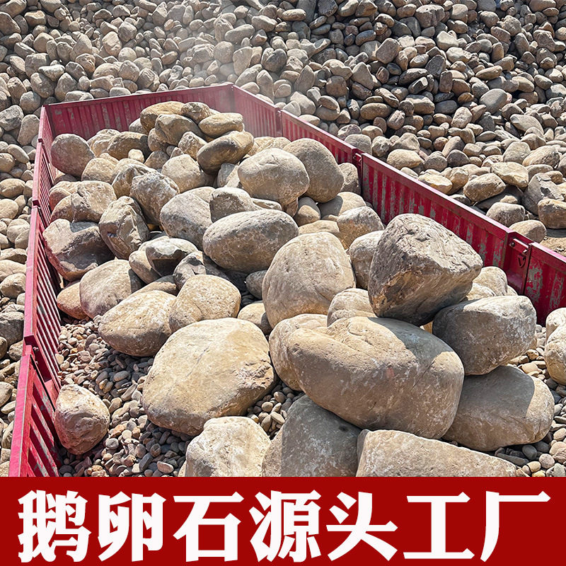 大型鹅卵石溪流石天然原石大石头水冲石野山石驳岸石河石厂家直批