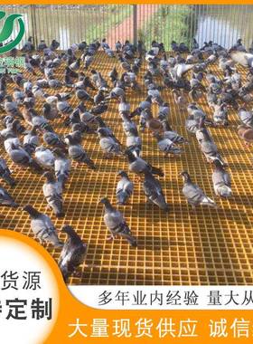 璃钢伏检修通玻璃钢养殖道格栅玻玻璃钢盖RIY光板光伏通道