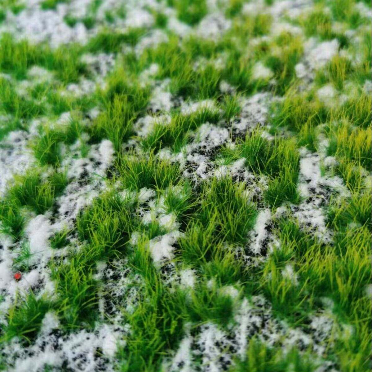 仿真苔藓草坪撅类绿植仿真仿真青苔草坪植物苔藓绿植仿真厥类