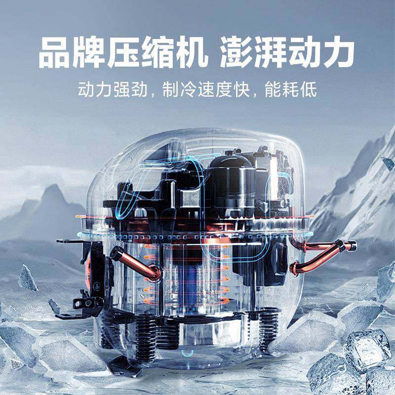 啤酒柜饮柜料冷藏展示柜立酒式商用保鲜双门884超市冰箱啤柜支持,商业/办公家具,冷藏展示柜,淘宝优惠券,粉丝福利购,淘宝优惠卷