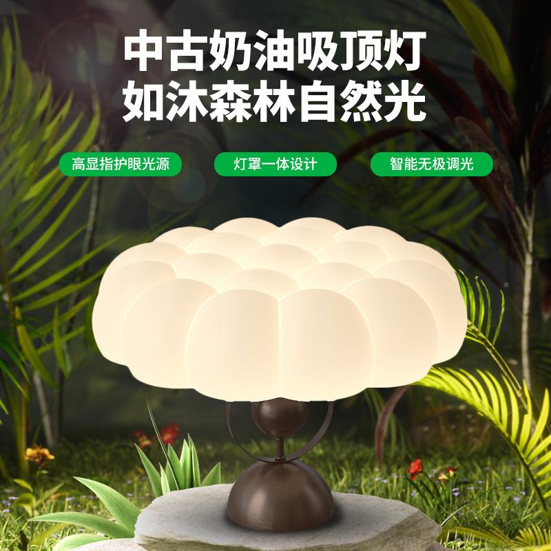大园卧室147吸顶7灯中古风卧护眼主房灯创意新中式书房中观山灯具
