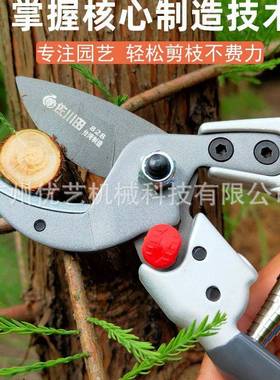 817力C果树修枝剪8272精修748粗枝园艺剪修花剪园林88省修剪粗