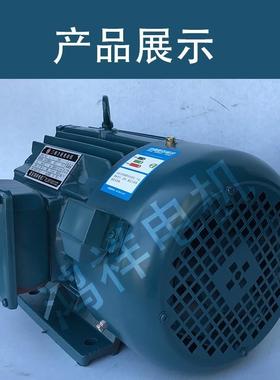 力江瑞浙安异YLJEYZ100-5N-6卧式三相步矩电动机