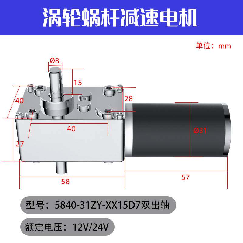5840-31ZY直流减速电机涡轮蜗杆24V双出轴有刷微型电动机12大功率