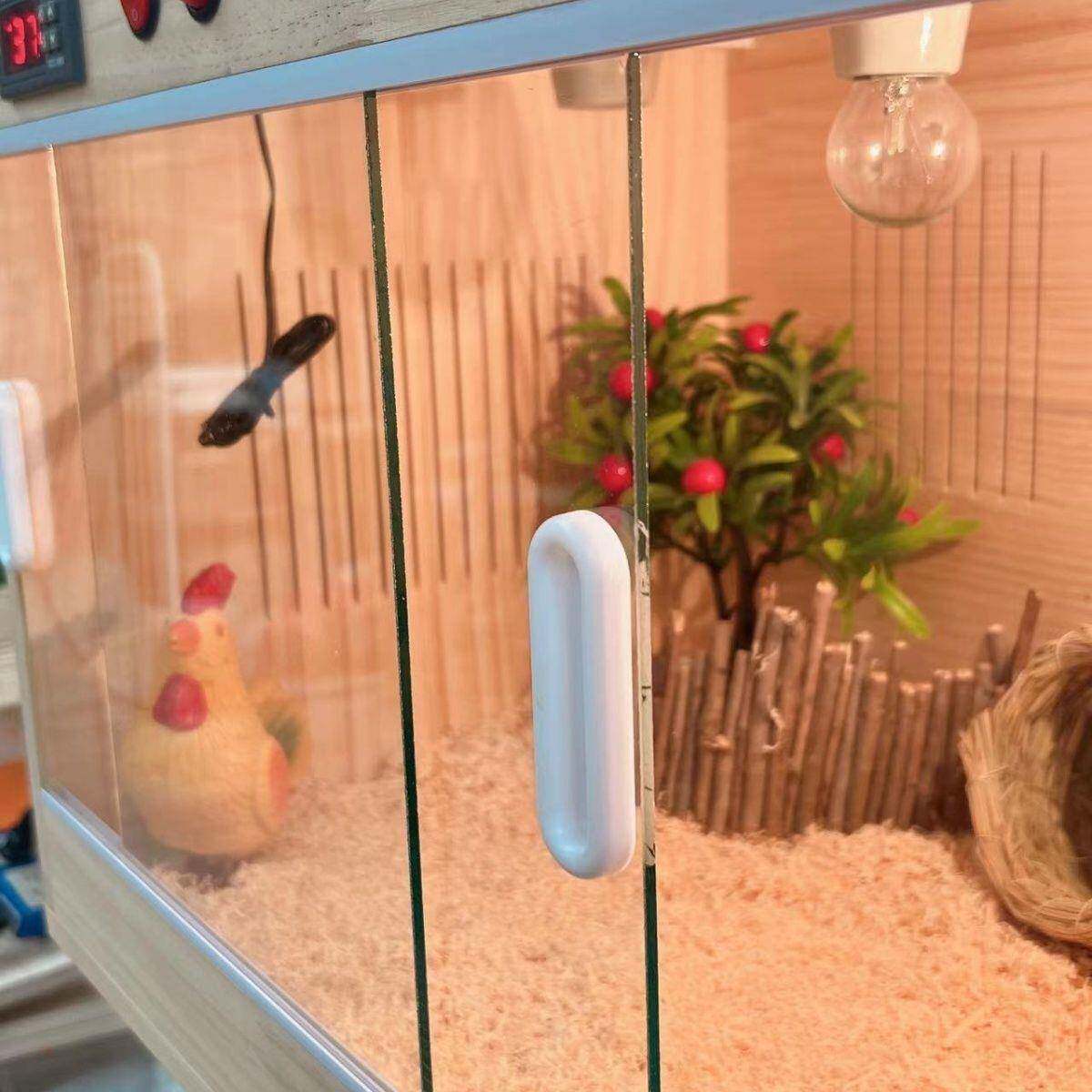 箱养箱箱URO芦温控智能宫蜥蜴育雏守便宜全套箱智能饲恒温丁鸡