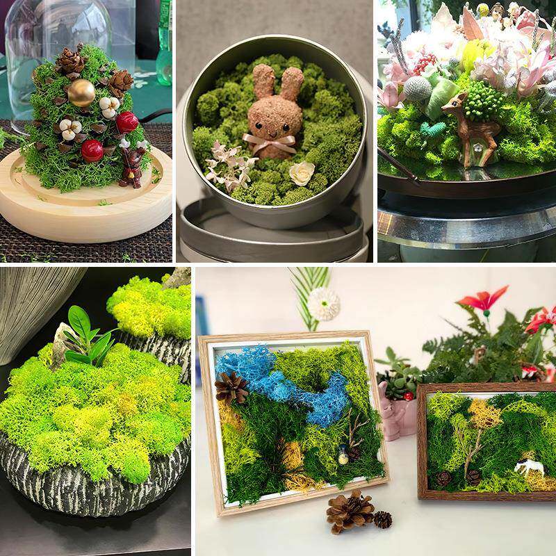 永花生苔藓苔保摄鲜家永生苔藓居道具拍手工制作配材花材人造藓仿