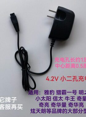 雅豹炫天朗明之选924小太阳H72 H79奇量奇亮头灯扁插小二孔充电器