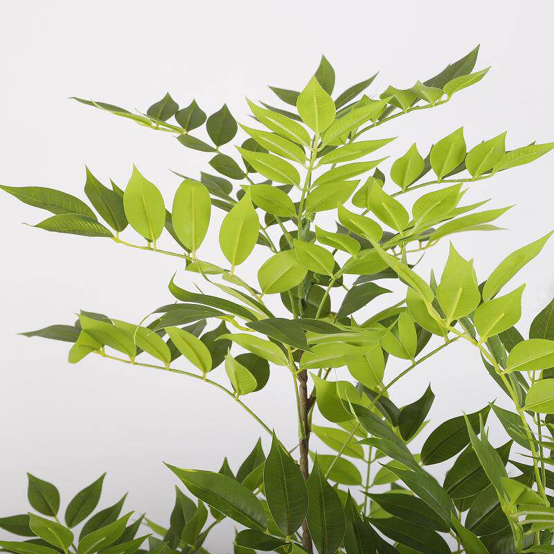 大型仿真香树装饰落地植假树盆栽椿室内橱绿窗植OLF-5510物香椿树