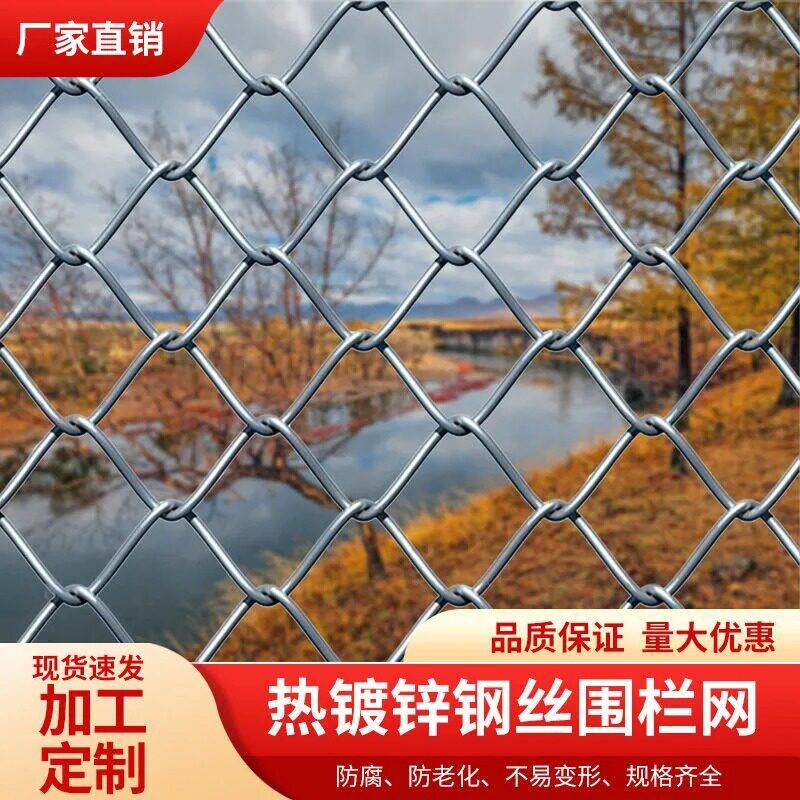 防锈镀锌铁丝网钢丝网户外围护栏网家用养殖牛羊拦鸡网菜园勾花网