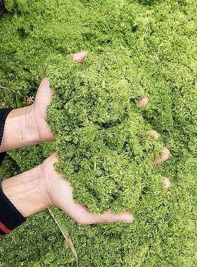 牧草揉丝半物料粉枝碎设草备树秸秆铡机大湿型柴油粉XBH糠机