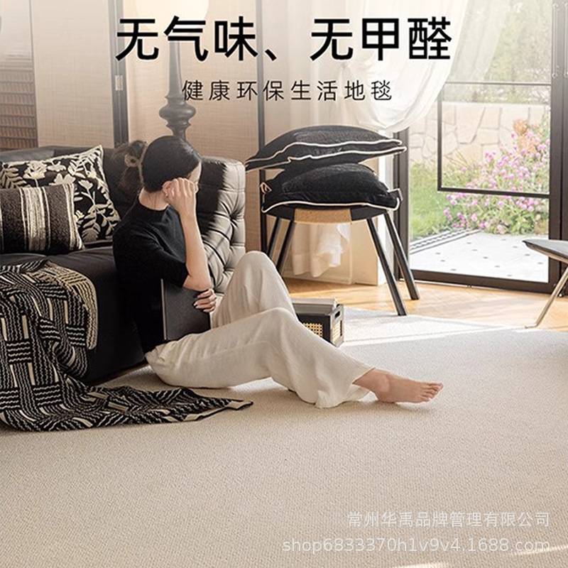 客厅地毯免洗可擦防水防污菠萝圈卧室沙发茶几毯家用现代简约