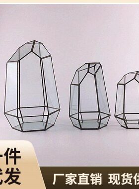 56PC迷你玻璃花房花瓶摆件 客厅 插花花盆简约多肉植物微景观