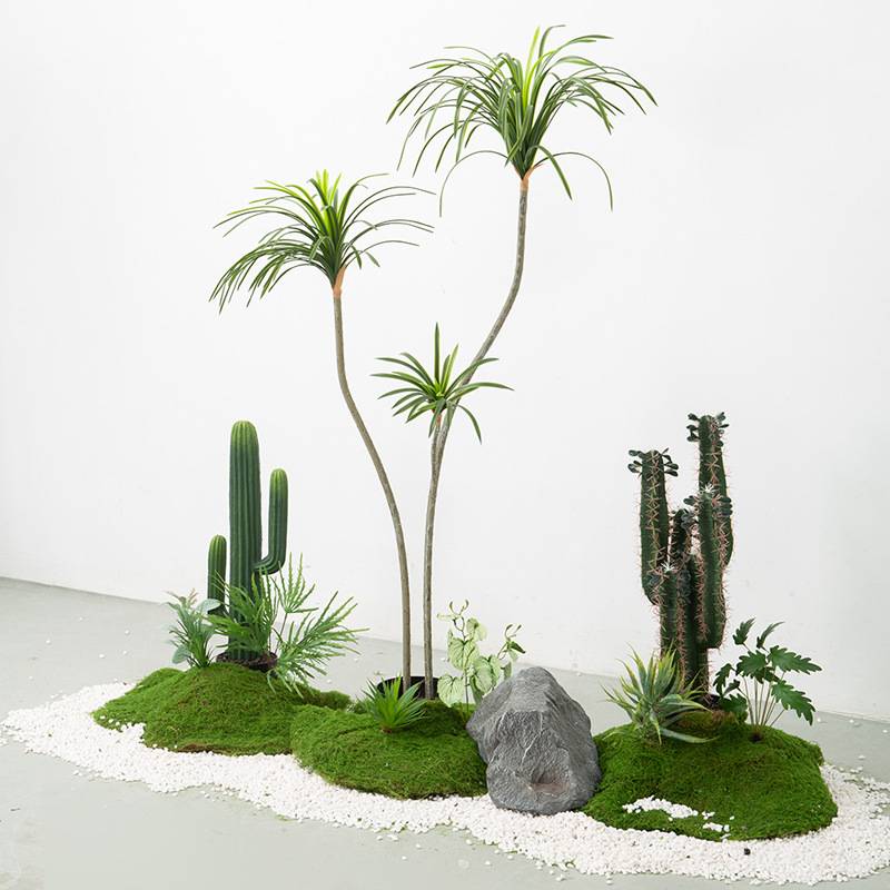 微景观造景植物仿生植被景观摆件仙人掌苔藓热带绿植物盆栽置景