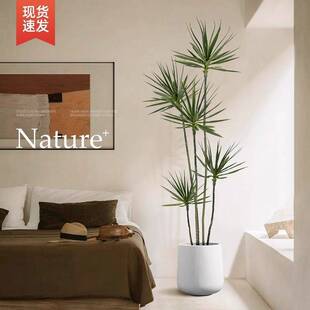 轻奢仿真绿植假植物仿真花千年木室内盆栽龙血树客厅装饰摆件落地