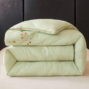 婴儿级A全大豆纤维夏被全棉民类冬宿酒店被BED子秋可水洗棉加厚被