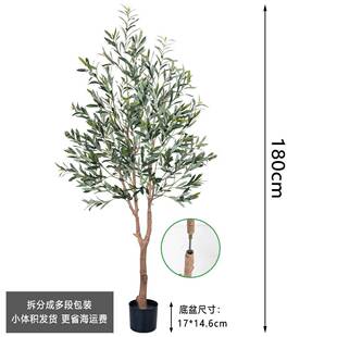 跨境可拆装真树D/E/F/G仿真橄榄树居客厅室仿假内落地大型橱窗装