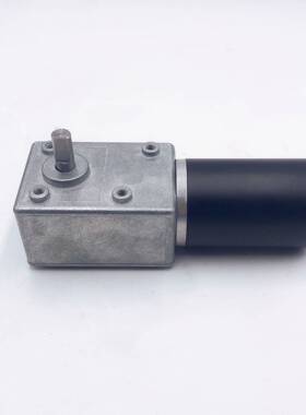 5882蜗轮蜗杆减速电机600JSX50ZY智能家居机器人设备微型直流马达