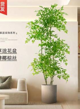 新品源头大玄型落地件关装南饰品电视柜摆轻奢客厅绿7HJHTJJS植天
