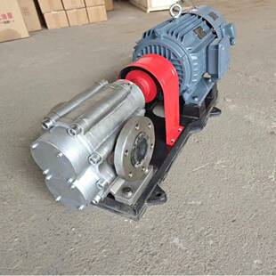 不锈钢轴承齿轮泵304不锈钢油泵KCB300卧式生产自吸齿轮油泵现货