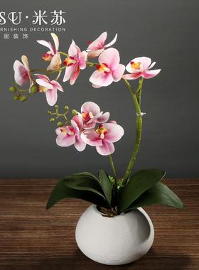 中式仿真蝴兰栽花艺套装jd101312摆件创餐意客厅蝶桌假花桌面小盆