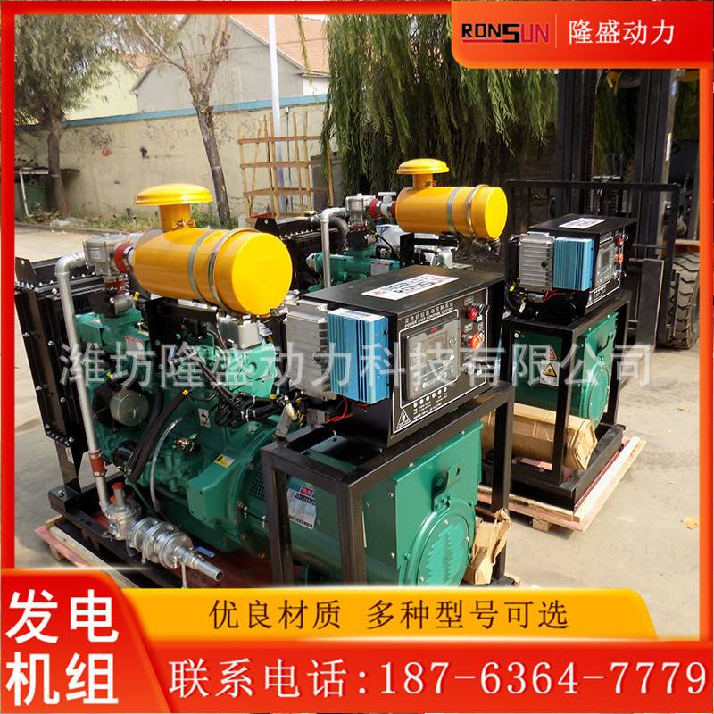 潍柴30kw发电机组 小型应急发电机组沼气30kw南通发电机