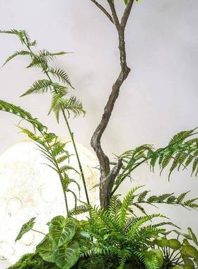 仿真绿组植造景合高端轻橱奢景阳台9451玄关布观置楼梯拐角植物窗