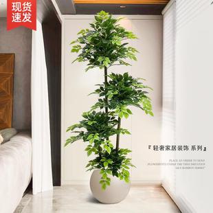 幸福树仿真绿盆植假树室客厅发财树摆仿c8bD8kAz件生植物内阳台大