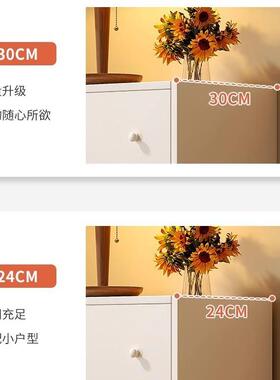 柜子储物柜收柜杂五物柜客厅靠墙家用阳立台XOB落地柜小置物斗柜