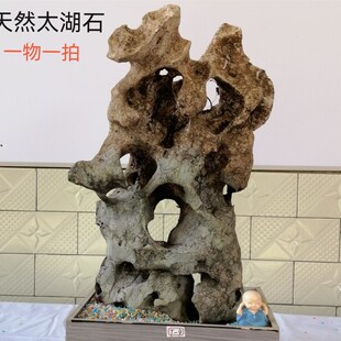 广西天然太湖石原石鱼q缸摆件假山石骷颅石奇石园林庭院太湖石