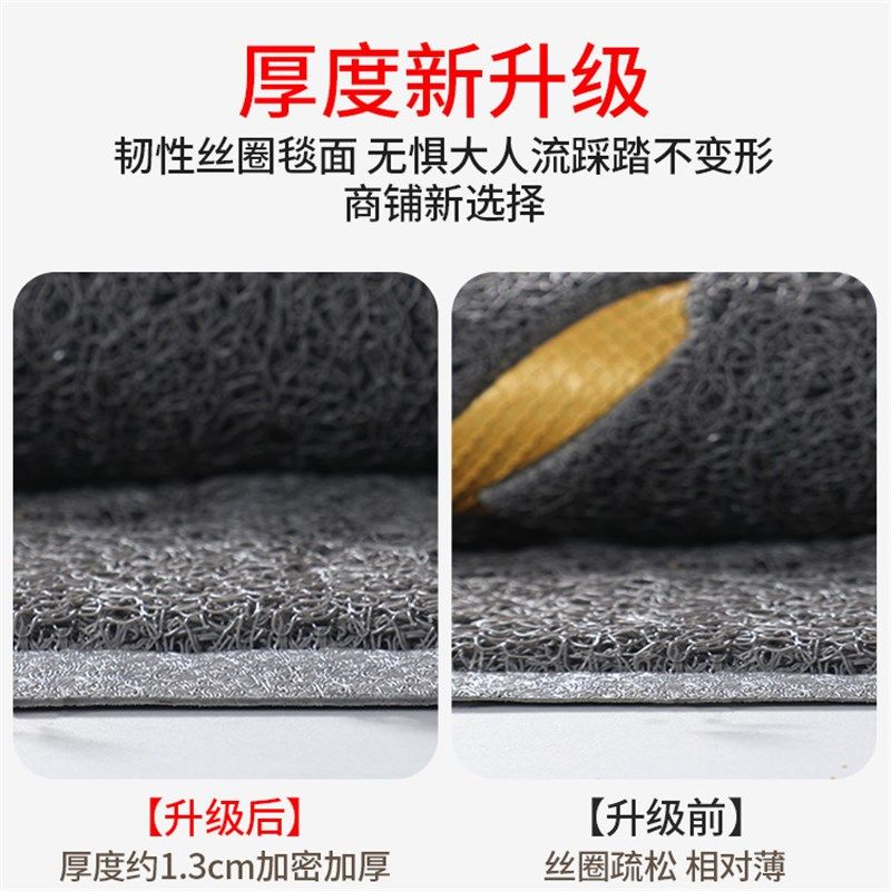 入户门地垫进门家用室外脚垫2025新款大门口耐脏门垫防滑丝圈地毯
