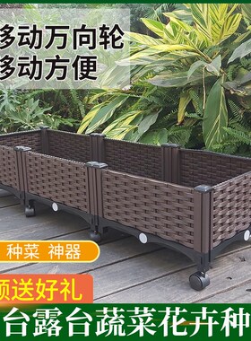 新疆包邮家庭阳台蔬菜种植箱 y种菜盆 特大花盆设备 带轮子移动万