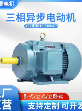 YE318.5W4P(18.5千瓦4极)多款交流电机工厂直供三相异步电动机