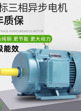 工厂直供三相异步电动机YE418.5W2P(18.5千瓦2极)电动机