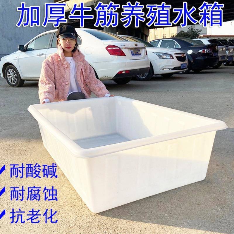 398塑料水箱长方形水加厚筋大号储鱼桶卖鱼浅盆牛养周转箱水产养