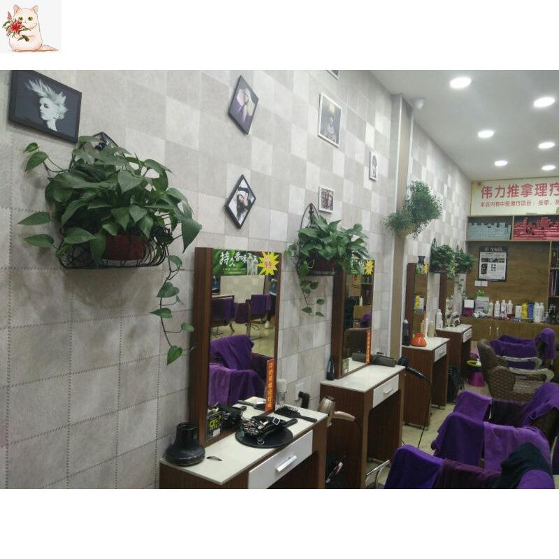 .绿萝花架墙挂上花盆架室花架壁挂艺欧式包邮内327铁半圆阳台悬挂