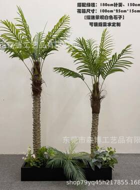 大型仿真绿植断造景组合隔琴叶房榕旅人SB-LZHZ-店蕉盆栽造景酒书