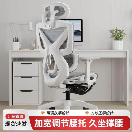 1德致电脑椅镂空气网椅人体工学腰椅升降扶手透办公椅舒适护子靠